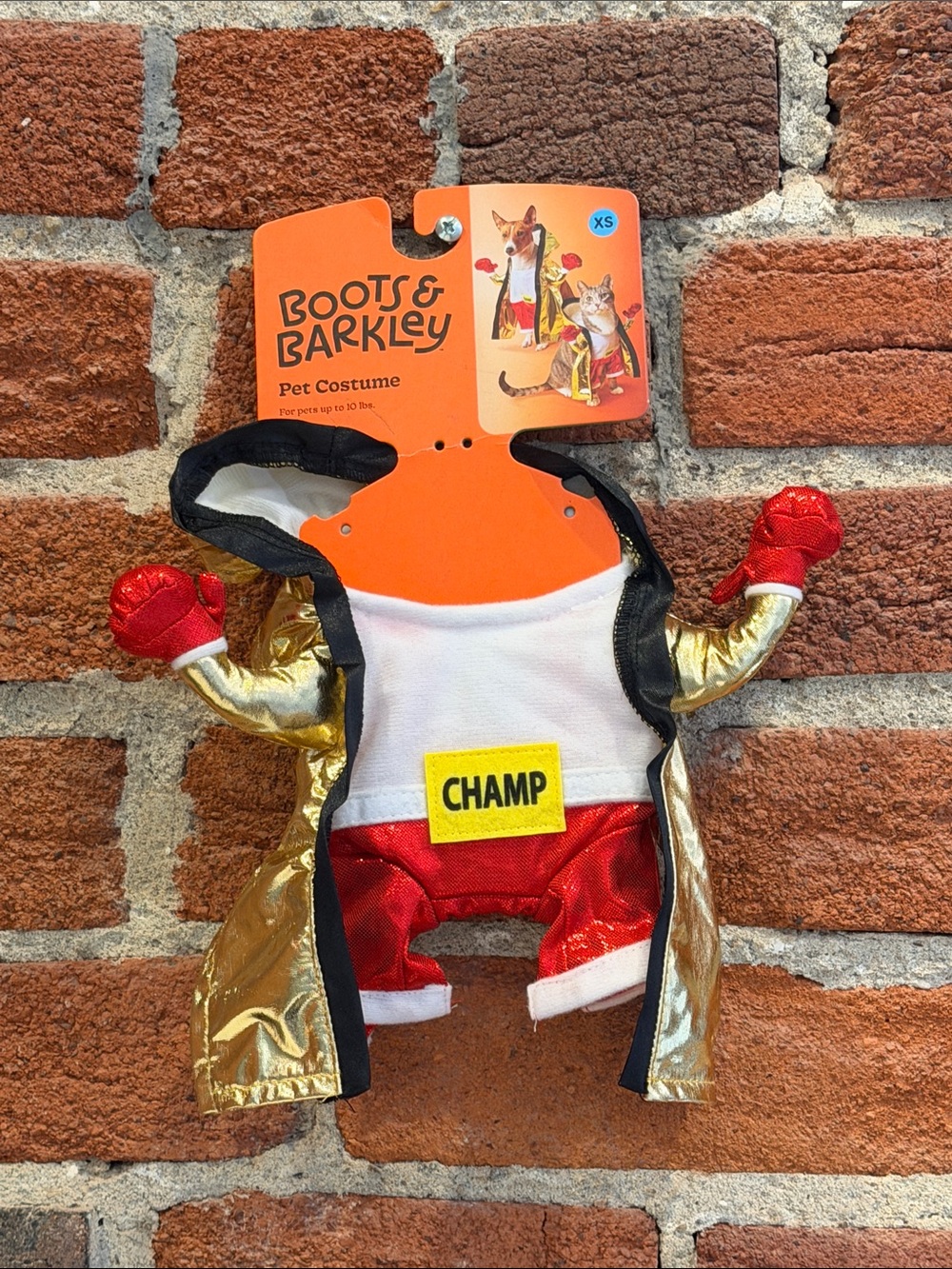 🥊🏆 NWT Boxing Champ Halloween Dog or Cat Costume - XS - Boots and Barkley 🥊🏆